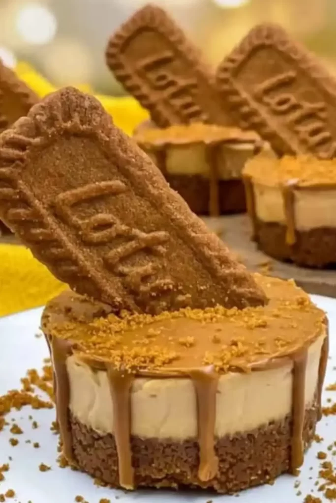 mini biscoff cheesecake